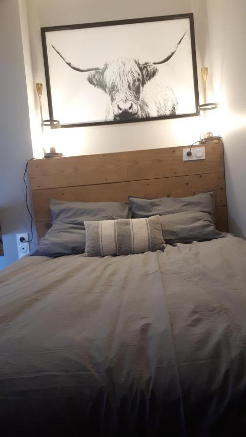 Le Cosy Rock / Rent4Night Grenoble Apartment Luaran gambar
